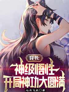 飺ԣ񹦴Բ